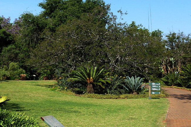 Pretoria National Botanical Garden