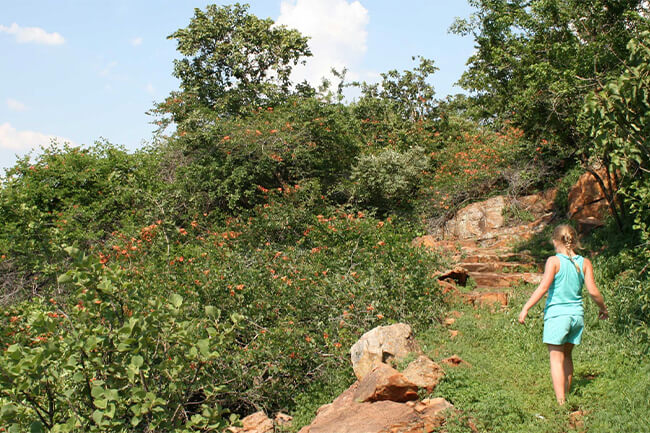 Pretoria Botanical Gardens