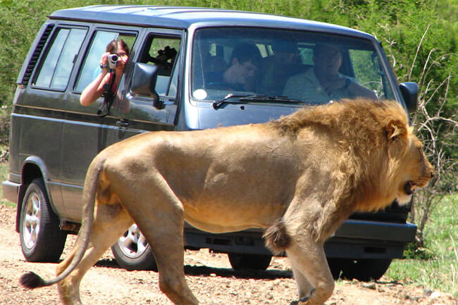 Akwaaba Predator Park