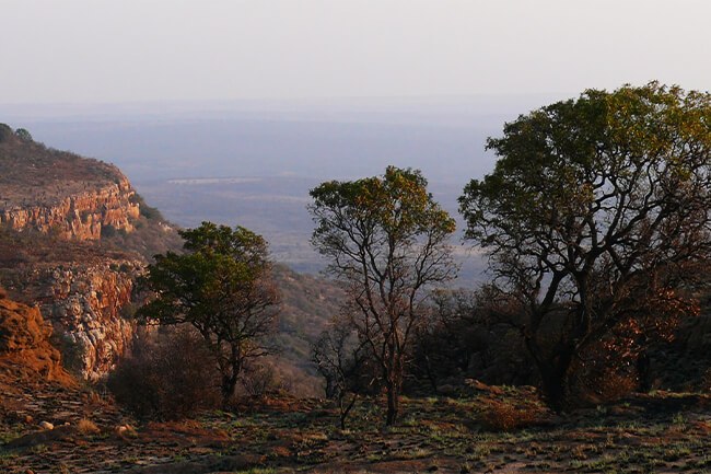 Kgaswane Nature Reserve