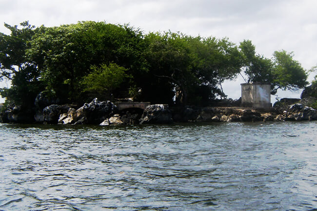 Pelican Island