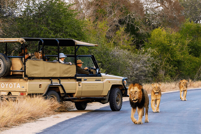 Kruger National Park / Panorama route