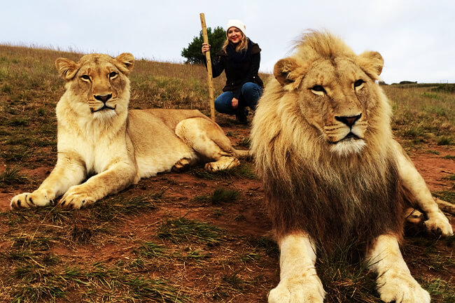 Walk With Lions