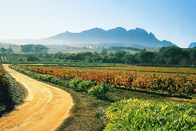 Durbanville Wine Route