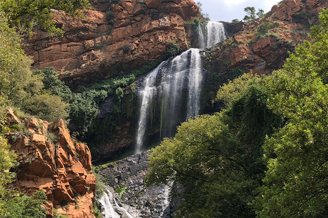 Walter Sisulu National Botanical Gardens