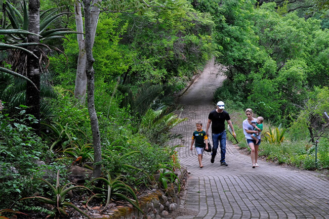 Lowveld National Botanical Garden