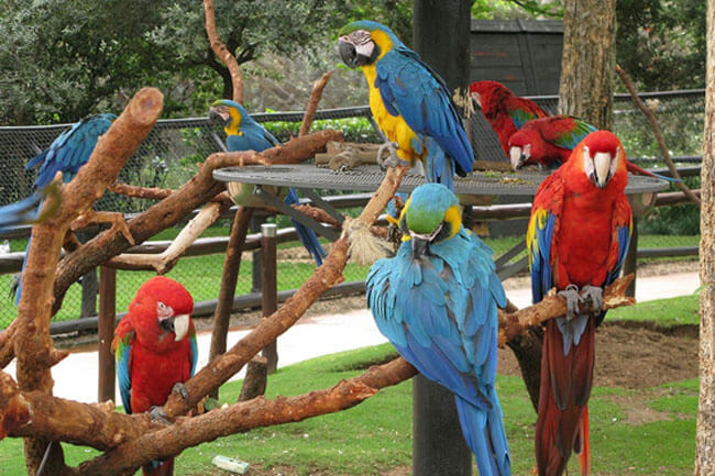 Montecasino Bird Gardens